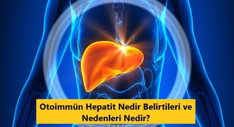 Otoimmün hepatit nedir?