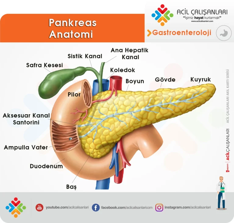 Akut pankreatit nedir?
